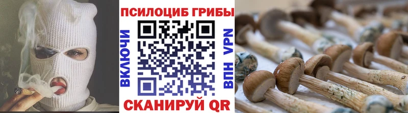 Псилоцибиновые грибы мицелий мега зеркало Берёзовка наркота